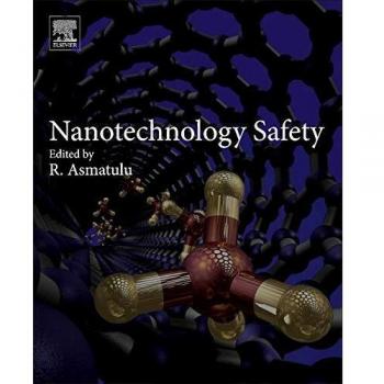 Nanotechnology Safety
