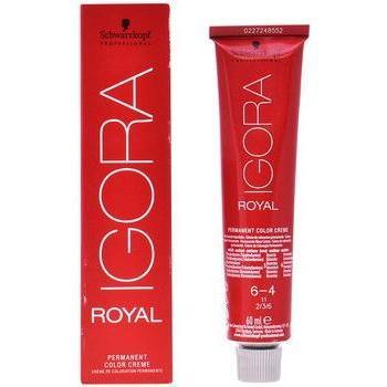 Schwarzkopf Professional IGORA Royal Hair Color 6-4 Dark Blonde Beige 60 ml