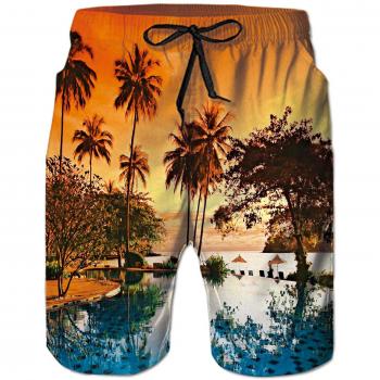 Goodstoworld Hombre Bañador Shorts 3D Playa Natacion Pantalon Corto Poliéster Secado Rápido Ligero Bermuda Moda Shorts