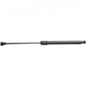 Amortiguador de maletero RIDEX 219G0346 para RENAULT Clio III, Fuerza de eyectación: 385N, Longitud: 451mm