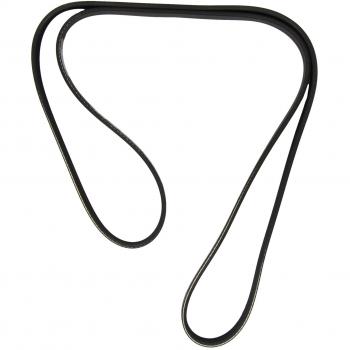 Dayco 7PK1595 Correa Trapecial Poli V