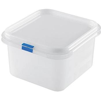 Great Plastic Contendedor de Alimentos/Fiambrera Cuadrado con Capacidad de 1,9 litros, Blanco, 17.6 x 16.2 x 10 cm