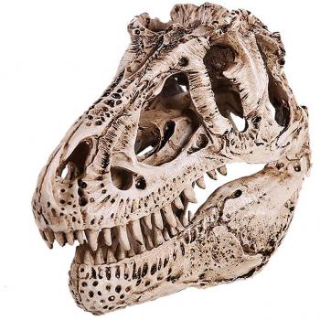 1/12scale Colección Modelo Cráneo Fósil de Tiranosaurio Dinosaurio Resina Blanco