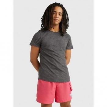 Camiseta Tommy Jeans Classics Slim Gris