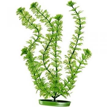 Marina Plantas Plásticas Aquascaper Grandes Ambulia, 30 cm