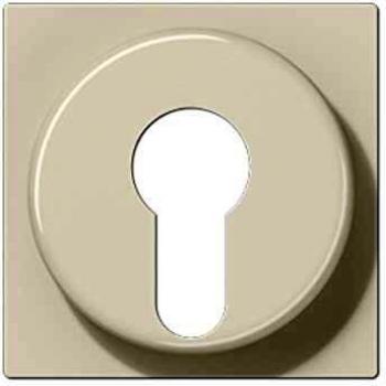 Placa central para interruptor a llave blanco marfil 0712132548 Jung