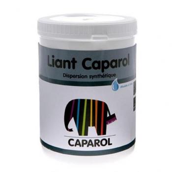 Ligante Vinílico Caparol Sennelier 1 kg