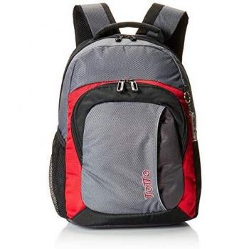 TOTTO MORRAL Argon Mochila, Adultos Unisex, Gris