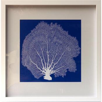 Dósfer 94812 - Cuadro decorativo, Corales Pop, 63 x 63 cm
