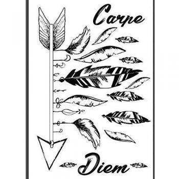 Transfer termoadhesivo A4 blanco y negro - Carpe Diem