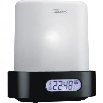 Denver CRL-290BLACK - Radio Portátil