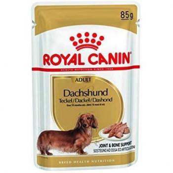 ROYAL CANIN Jamnik Adult Dog Food, 85 g
