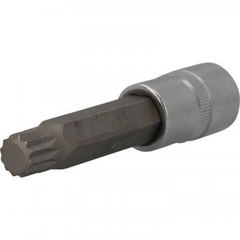 Matrícula de Inserción de Llave de Cubo 1/2, Longitud 100 mm, M14 - Herramienta Multidiente