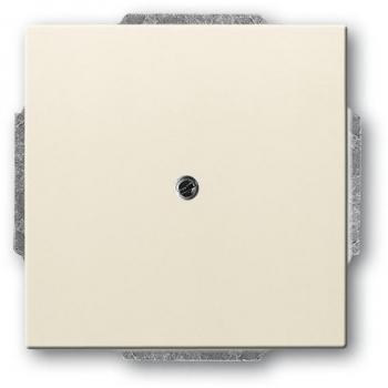 Busch-Jaeger Ivory Central Plate 1742-82 for Low Voltage Applications