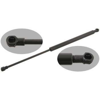 Muelle Neumático FEBI BILSTEIN 29286 para Capó de Motor Lexus IS (Izquierdo/Derecho)