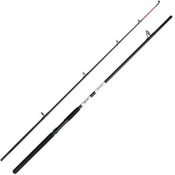 Caña de pescar DAM Aqua-X Allround (2,40 m, 100-200 g)