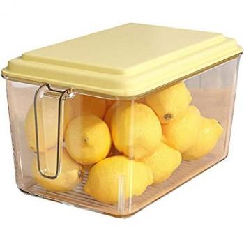 Recipiente de Almacenamiento de Alimentos Joybos 6,3L - Resistente y Duradero - Transparente con Tapa Verde