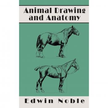 Dibujo y Anatomía de Animales en Tapa Blanda