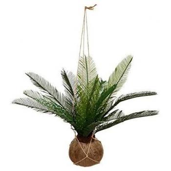 Atmosphera Olla de Coco de Palma Cuba H 50 - Ecológica
