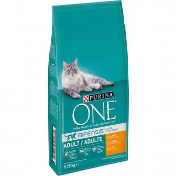 Purina ONE Bifensis Dry Cat Food - Economy Pack - Adult Chicken & Whole Grains 2 x 9.75 kg
