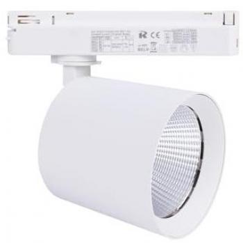 Proyector LED Monofásico 40W para Pescados y Mariscos - Blanco