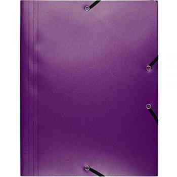 Exacompta 55918E - Carpeta con goma, color morado