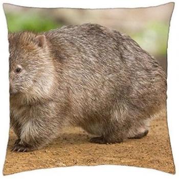 vombatus Ursinus - Funda de almohada manta