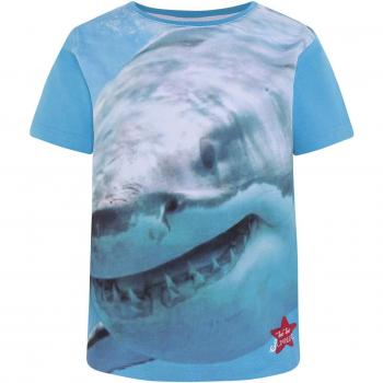 Tuc Tuc Camiseta Punto Media NIÑO Beetle