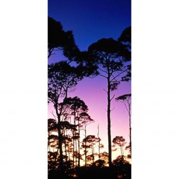 peelitstickit id-0576 60 ancho x 130 cm de altura Hermosa Naturaleza Mural de pared vinilo de alta calidad