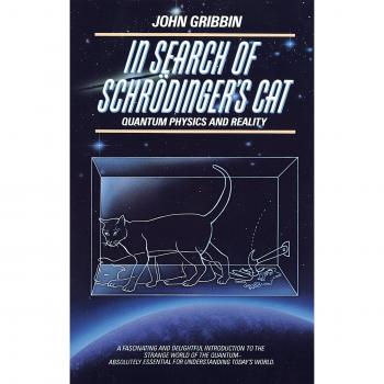 In Search of Schrodinger's Cat: Quantum Physics and Reality