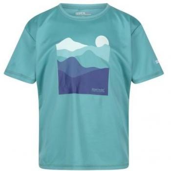 Camiseta Alvarado VII Montaña para Niños/Niñas Regatta
