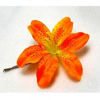 Flower 10736 - abono césped Organic complet-n