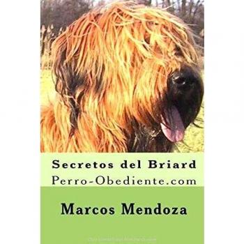 Secretos del Briard: Perro-Obediente.com