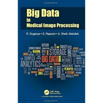 Big Data in Medical Image Processing