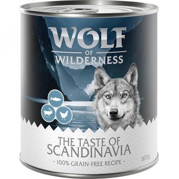 Pack Ahorro: Wolf of Wilderness 24 x 800 g - Scandinavia, con salmón, reno y pollo