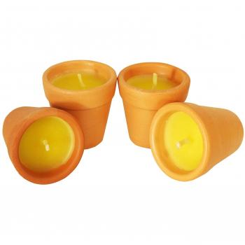 CITRONELA Vela Antimosquitos CR75