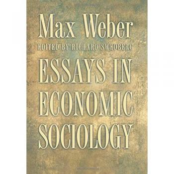 Princeton Economic Sociology Essay Collection
