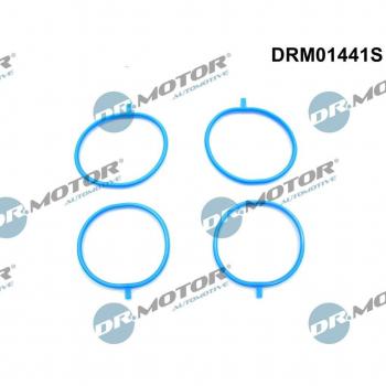 Juego de juntas para colector de admisión DR.MOTOR AUTOMOTIVE DRM01441S