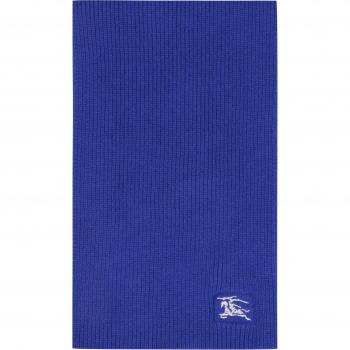 Burberry Men's Cashmere Scarf in Blue