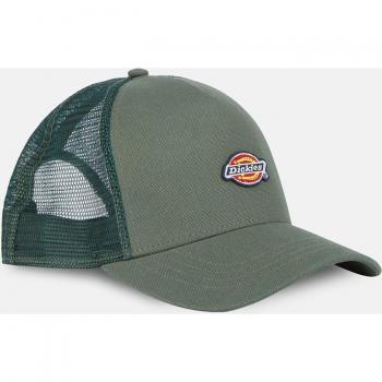 Dickies - Gorra Hanston Dark Forest