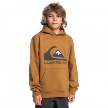 Quiksilver Big Logo - Sudadera para niños, con diseño de gran logo, material suave y cómodo, ajuste clásico, capucha con cordones y bolsillos laterales