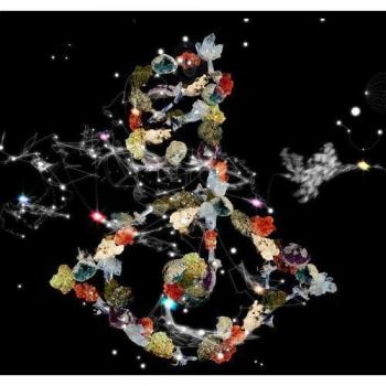 Biophilia [Vinilo]