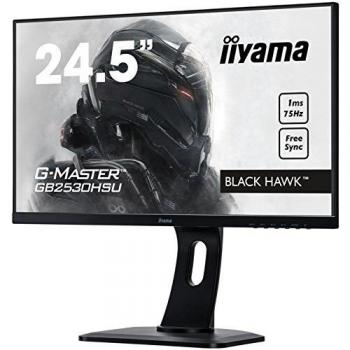 iiyama G-Master GB2530HSU-B1 Pantalla para PC 62,2 cm