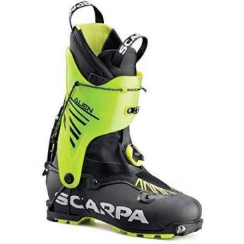 Scarpa