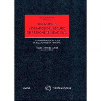 Dimensiones y desafíos del seguro de responsabilidad civil
