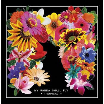 Tropical Electronica Vinyl - My Panda Shall Fly