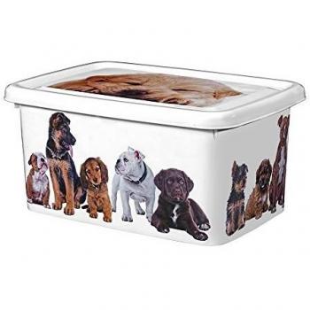 Great Plastic Contenedor de plastico 8 litros Urban, Neutro, 8 L