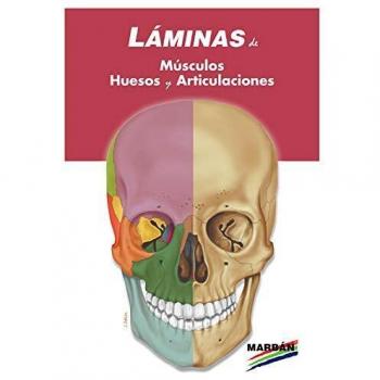 LAMINAS ESPIRAL: MUSCULOS HUESOS Y ARTICULACIONES