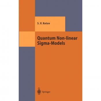 Quantum Non-Linear Sigma Models by Springer