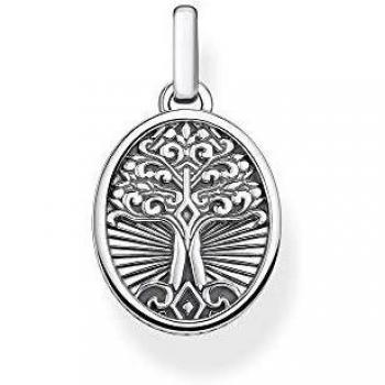 THOMAS SABO Hombre plata Colgante PE864-637-21